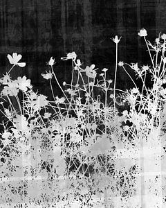 Skandinavische Sommer Blumen und Pflanzen BW