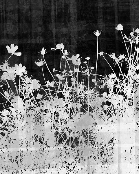 Scandinavian Summer Flowers and Plants BW by Mad Dog Art