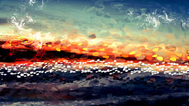Une nuit sur la plage