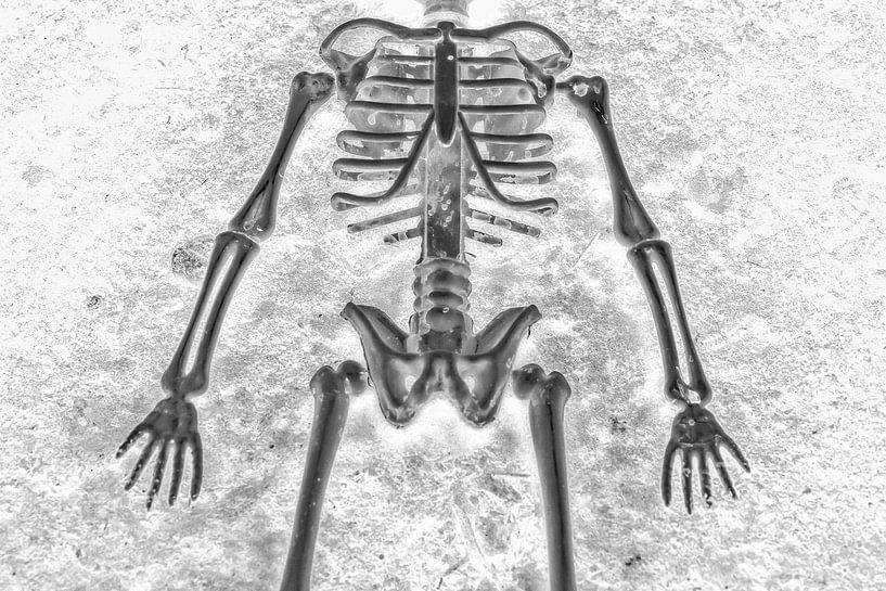 Skelet van Hennie Zeij