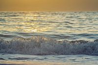 Sommer-Welle