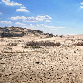 kennemer dunes in panorama by eric van der eijk