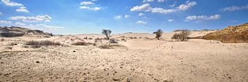 kennemer dunes in panorama by eric van der eijk