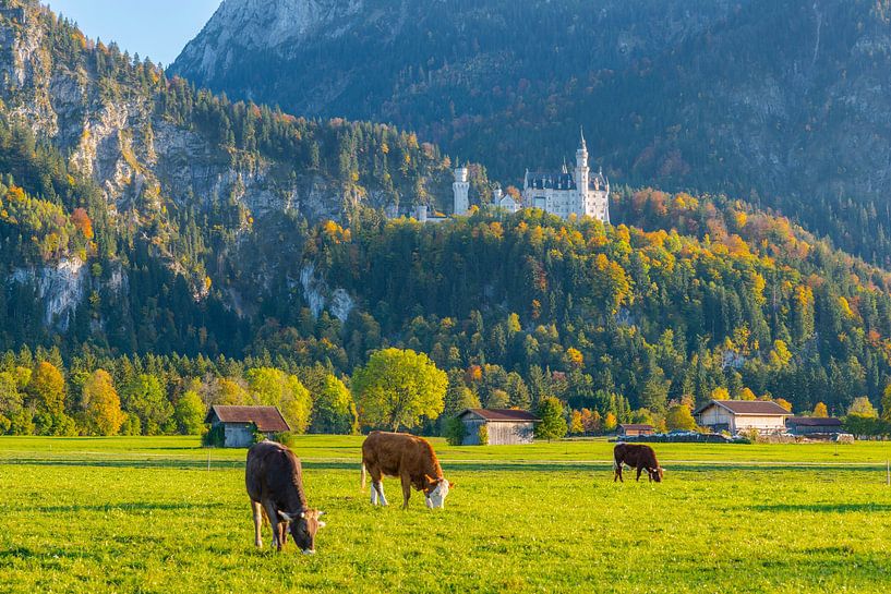 dans l'Allgäu par Walter G. Allgöwer