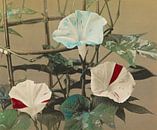 Morning Glory, Ogawa Kazumasa van Meesterlijcke Meesters thumbnail