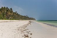 Parelwit strand en wuivende palmbomen op Zanzibar von Easycopters Miniaturansicht
