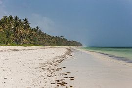 Parelwit strand en wuivende palmbomen op Zanzibar