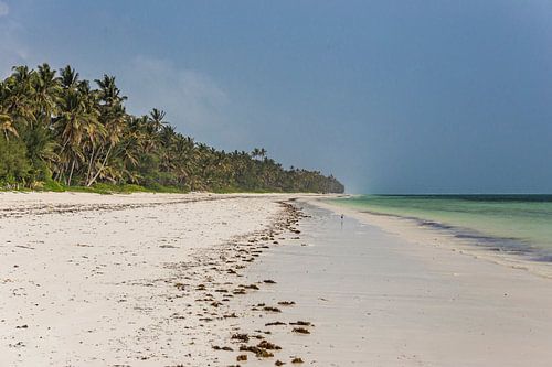 Parelwit strand en wuivende palmbomen op Zanzibar