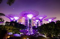 Gardens by the Bay, Singapore.