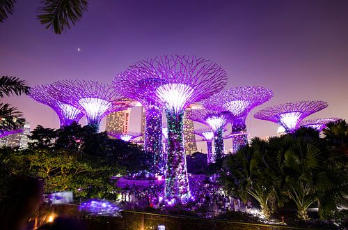 Gardens by the Bay, Singapour.