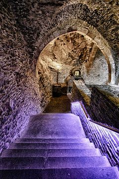 Old cellar by Yvonne Smits