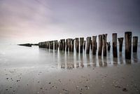 Breakwaters Soutelande