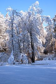 SAISON D'HIVER : PAYSAGE D'HIVER sur Photoart-Naegele