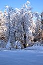 WINTERTIJD : WINTERLANDSCHAP van Photoart-Naegele thumbnail