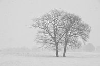 L'hiver dans l'Achterhoek par Arno Wolsink Aperçu