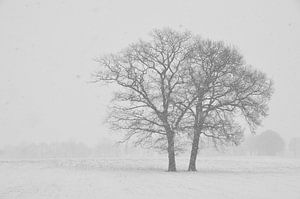 Winter in der Achterhoek von Arno Wolsink