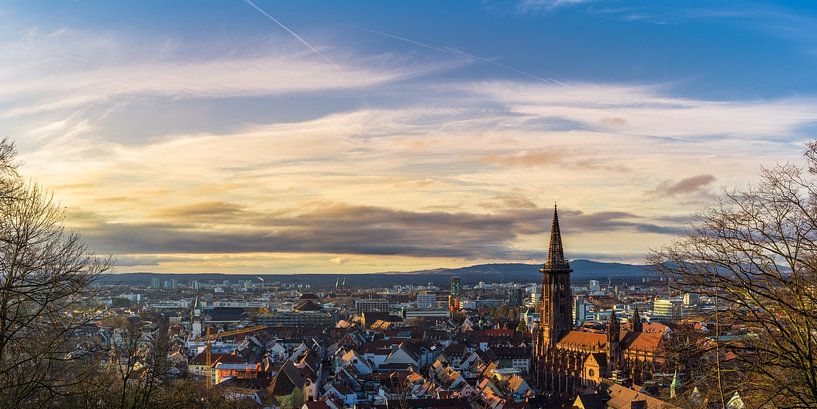 Skyline of the City of Freiburg panorama by adventure-photos