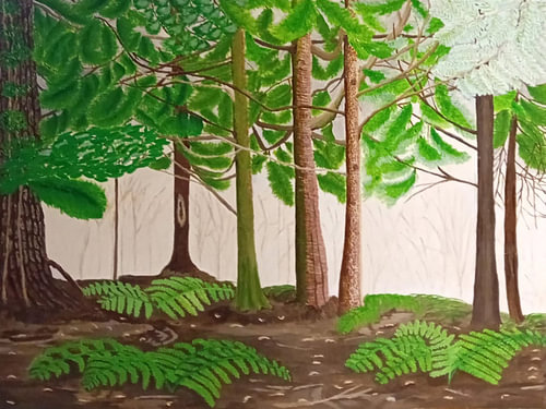Forest landscape