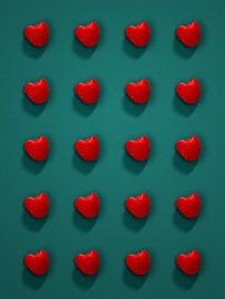 Raspberry grid - order on green by Mixed media vector arts