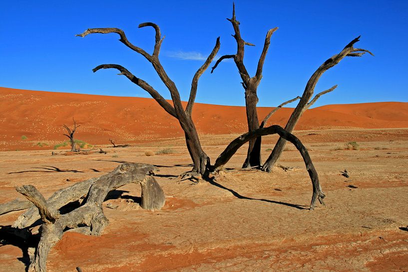 Tote Vlei von Antwan Janssen