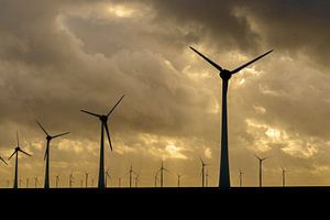 Windpark mit Reihen von Windrädern bei Sonnenuntergang