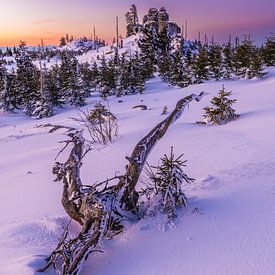 Sunrise at the Dreisessel by Denis Feiner