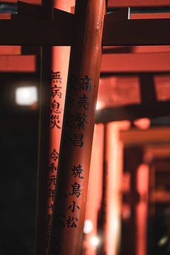 Les portes Tori dans les temples japonais sur Endre Lommatzsch