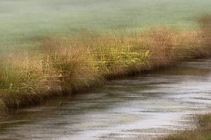 bord du fossé avec de l'herbe ondulante