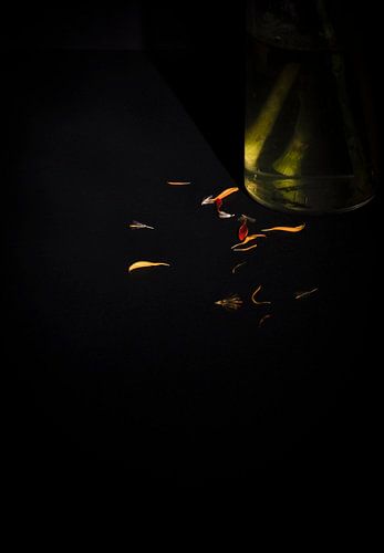 wat ooit gebloeid heeft