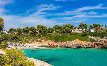 Belle vue de la baie de la plage de Cala Anguila à Majorque sur Alex Winter