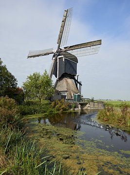 Mühle und Rennweibchen von Maarten Heijkoop