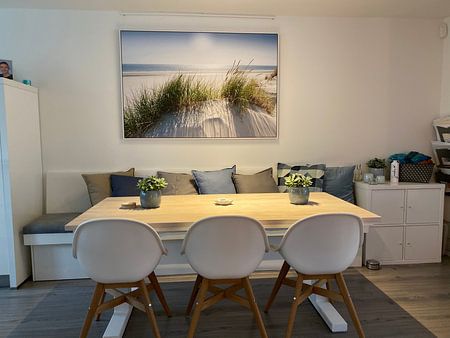 Noordzeeduin tegen het licht