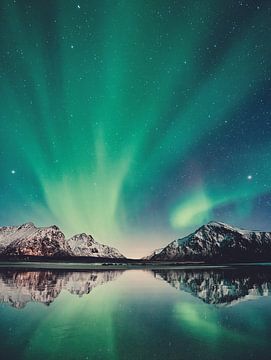 Noorderlicht met bergen, zee, sterren in Scandinavië
