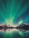 Noorderlicht met bergen, zee, sterren in Scandinavië van Designer thumbnail