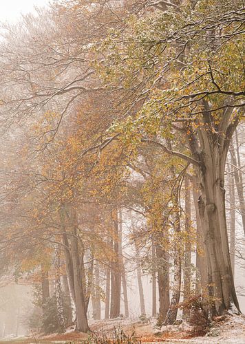 Winter in de herfst
