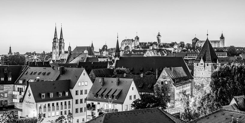 Neurenberg met het keizerlijk kasteel en de oude stad - monochroom van Werner Dieterich