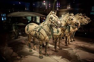 Het Terracottaleger van Xian in China