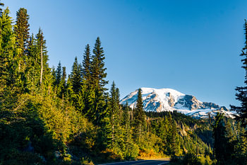 Golden Hour im Mount-Rainier-Nationalpark