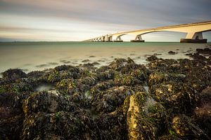 The Zeeland Bridge von Onno Wildschut