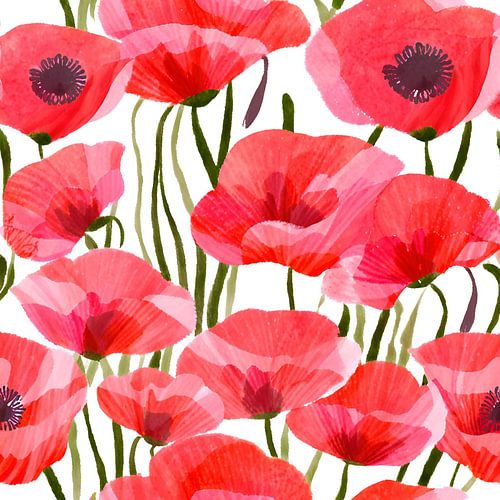 Rode klaproos - Natuur Bloem schilderij