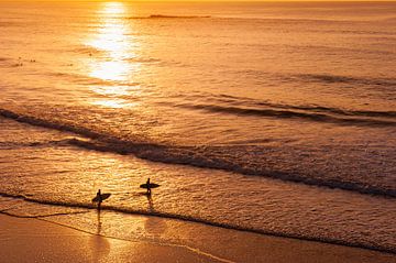 Surfeurs au coucher du soleil sur la plage en Algarve, Portugal