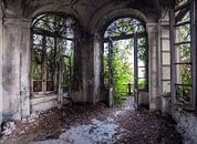 Forgotten garden room by Esmeralda holman thumbnail