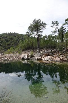 Weerspiegeling in Rivier Cavu Corsica van Marianne van den Bogaerdt