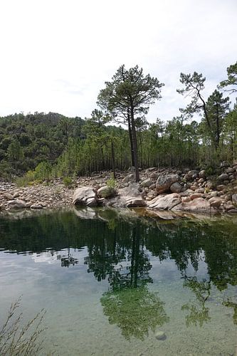 Weerspiegeling in Rivier Cavu Corsica