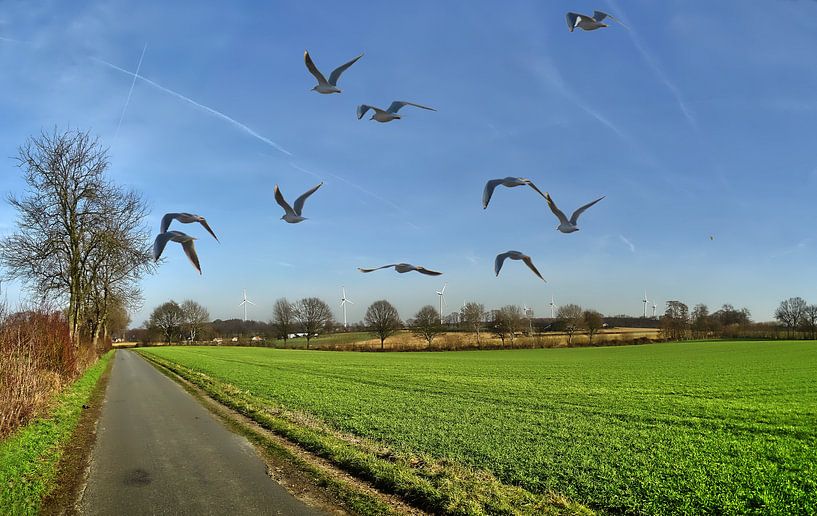 Lavesum 12 van Edgar Schermaul