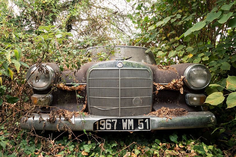 Verlassene Orte - Oltimer Mercedes von Times of Impermanence