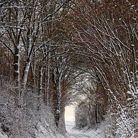 Das Tor zum Licht von Rob Boon