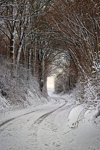 Gateway to the light by Rob Boon