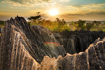 Tsingy rotsen zonsondergang sur Dennis van de Water