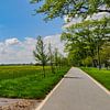 Piste cyclable, champ de colza près de Vilmnitz, île de Rügen sur GH Foto & Artdesign